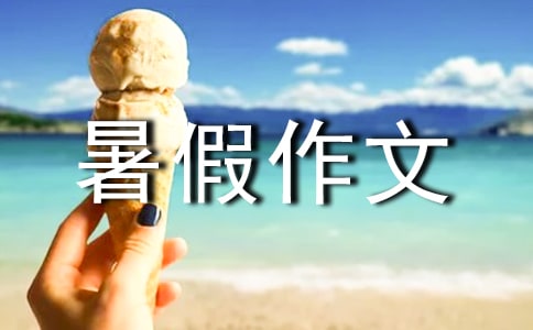 小学六年级暑假作文600字