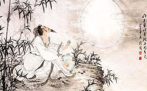 写给苏轼先生高二优秀作文