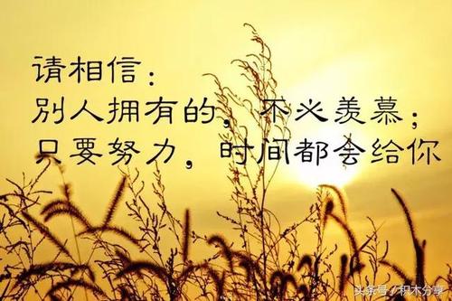人生感悟的句子心灵鸡汤 如何区分心灵鸡汤和真正的人生哲理