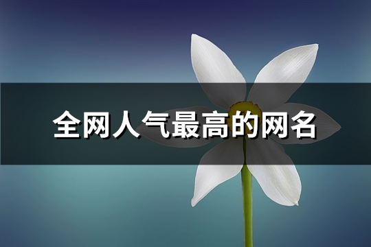 全网人气最高的网名(精选402个) 全网人气最高的网名(精选402个)
