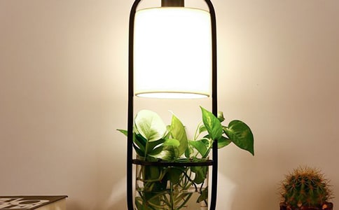 我的小台灯二年级作文