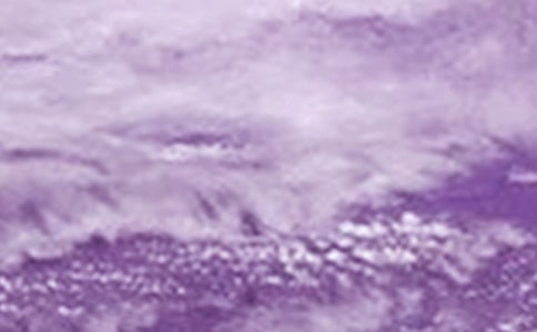 【推荐】台风来了作文