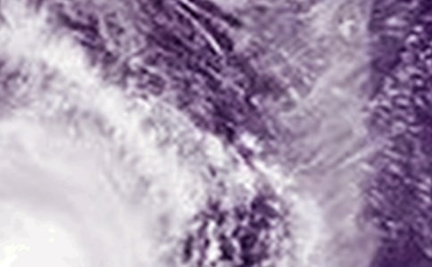 台风麦莎的厉害作文