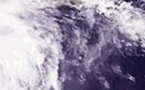 台风优秀作文500字