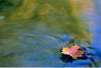 在乱世浮沉中，改变的往往是自己的心1