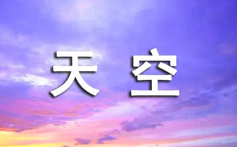 飞翔的天空初二作文500字