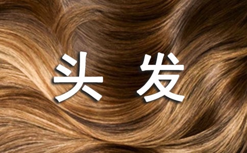 我与头发三年级作文