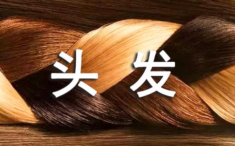 剪头发六年级作文