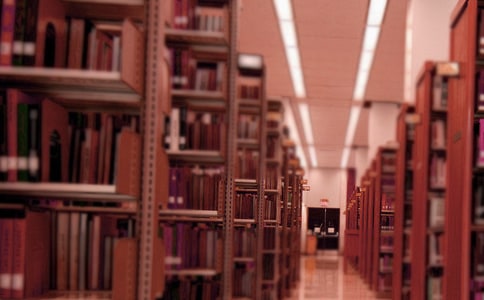 假如我是图书大王小学作文