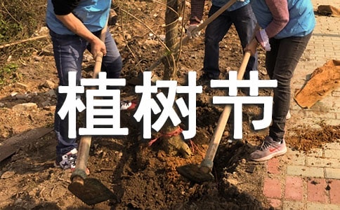 关于植树节(汇编15篇)