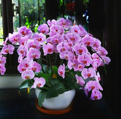 自律,不是一味鸡汤