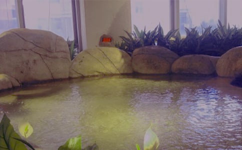 建德玉温泉小学游记作文400字