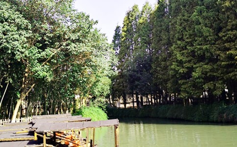 记乌镇高三作文