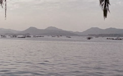 西湖遥想小学作文