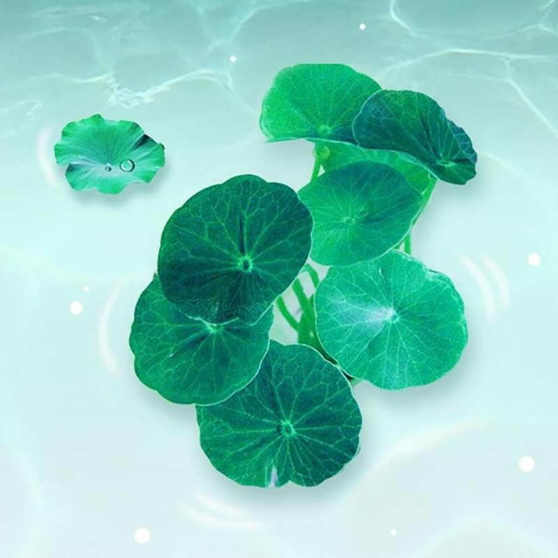 适合做微信头像的照片