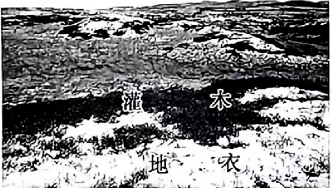 河南文综2024九省联考文综地理试题及答案解析