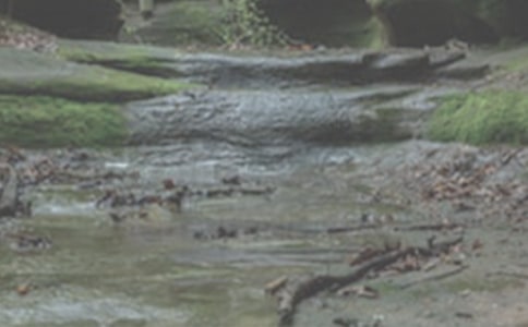 小溪流小学作文400字