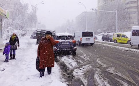 下雪了六年级作文600字