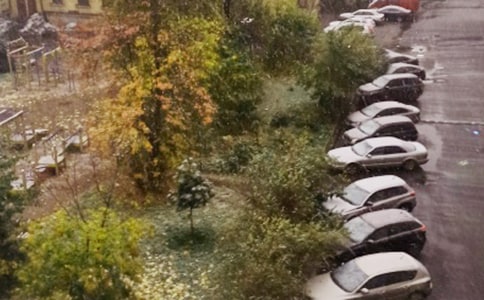 下雪了二年级话题作文