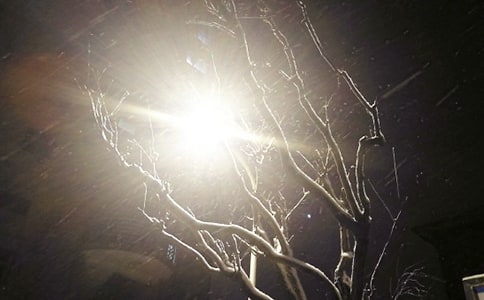 下雪了六年级优秀作文