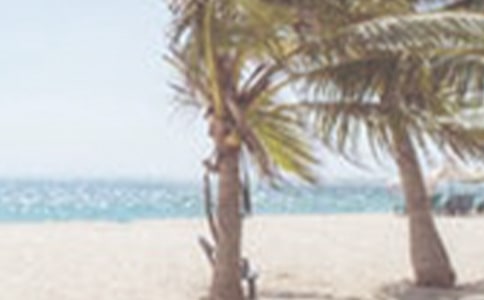 我们曾经的夏季高三作文3000字