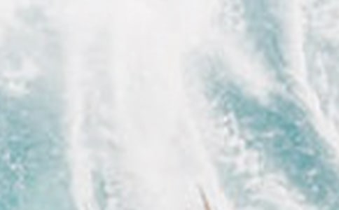 美丽的夏季公园二年级作文