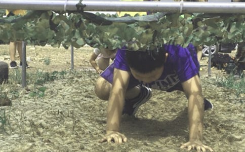 夏令营的小精灵二年级作文