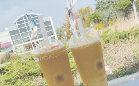 夏日的生命记忆作文