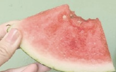 夏日永不落初三作文