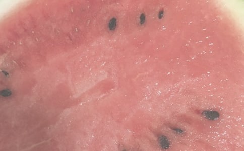 夏日的雨作文300字