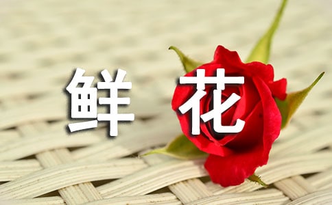鲜花开在哪里初二作文700字