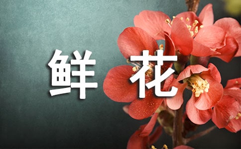 让鲜花告诉您作文