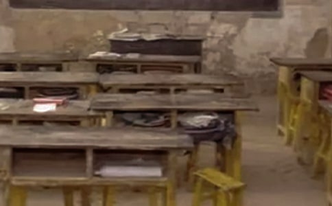 美丽的乡村小学650字作文