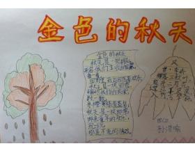 感悟金秋的手抄报