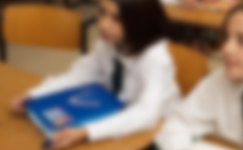 母校我们即将再见了小学作文550字