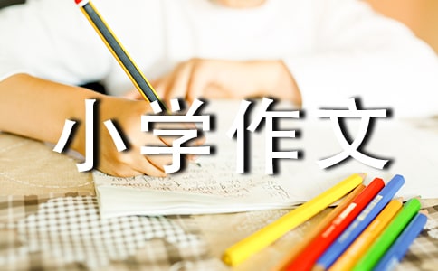 大年三十夜记忆小学作文