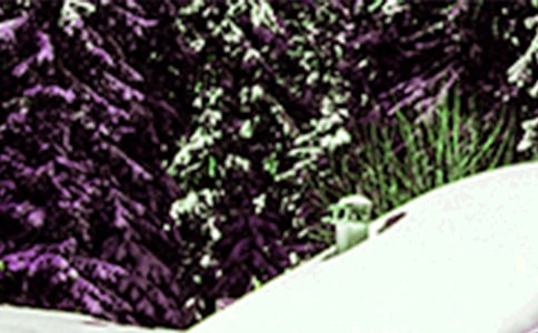 温暖的小雪花400字作文