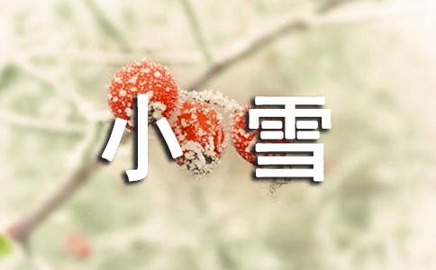 妈妈调皮的小雪花二年级优秀作文