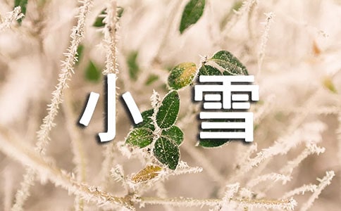 流浪的小雪人六年级作文600字