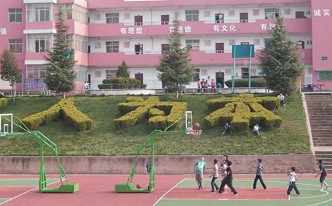 我的学校四年级校园作文（通用48篇）