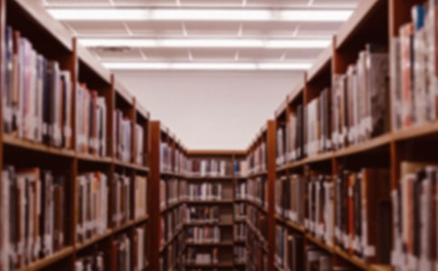 学校的变化初中生作文450字