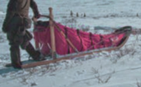 玩雪橇的作文600字