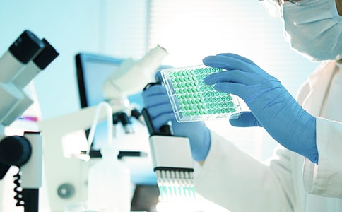 座位的研究六年级作文