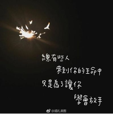 关于再见的情感语录 关于再见的唯美句子?