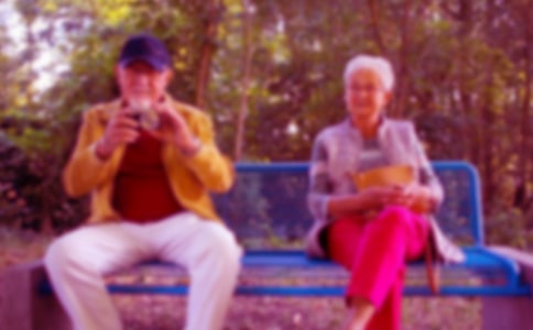 几度梅芳落，献给已逝的爷爷作文