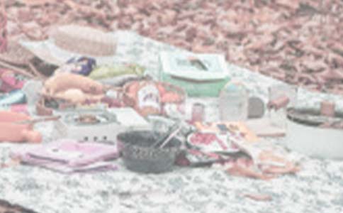 森林野餐会小学生作文