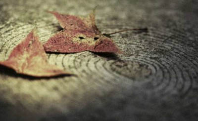 我没有挽留,然后你也就这样把我摇醒了,放开了遗忘了