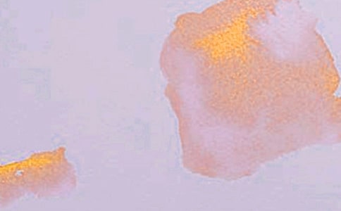 精彩的艺术节的学生作文