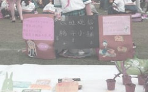 爱心义卖花卉四年级作文