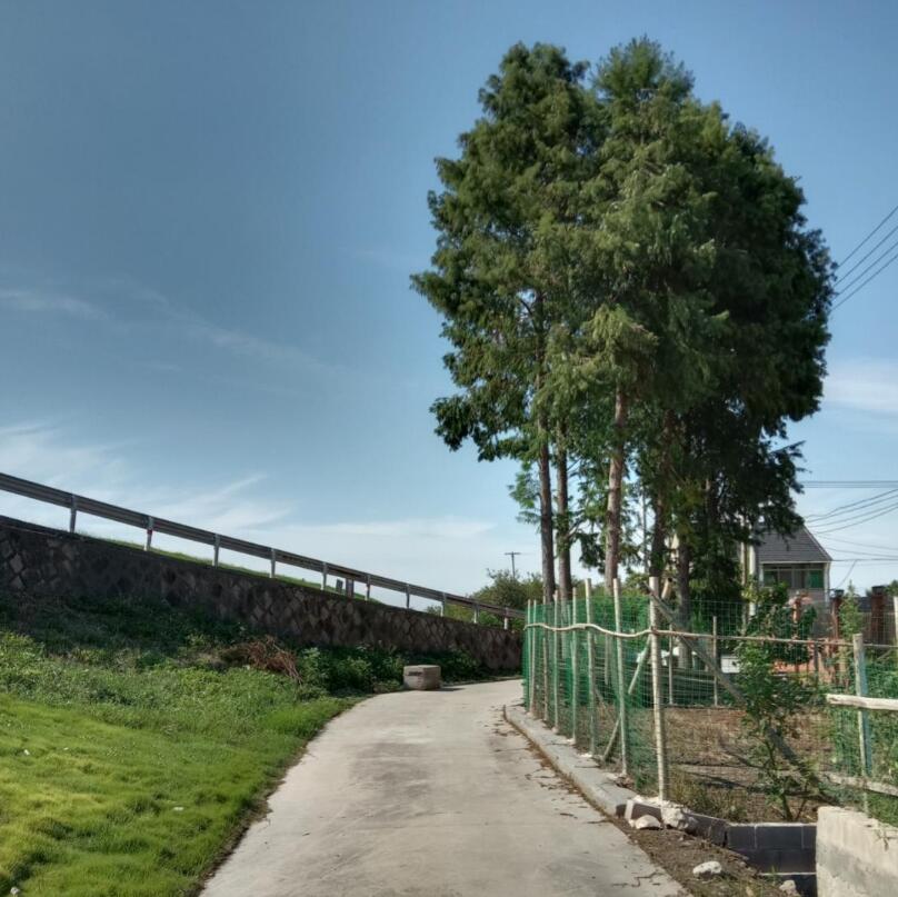 江岸,风景这边独好